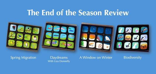 End of Season Review