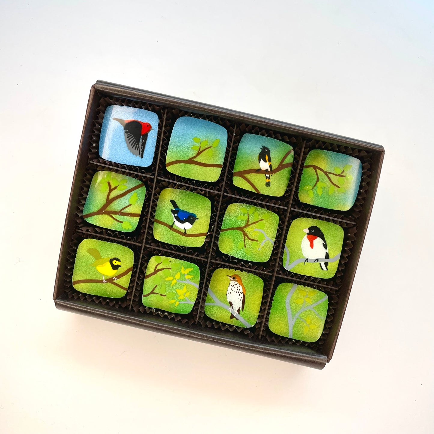 Spring Migration Collection